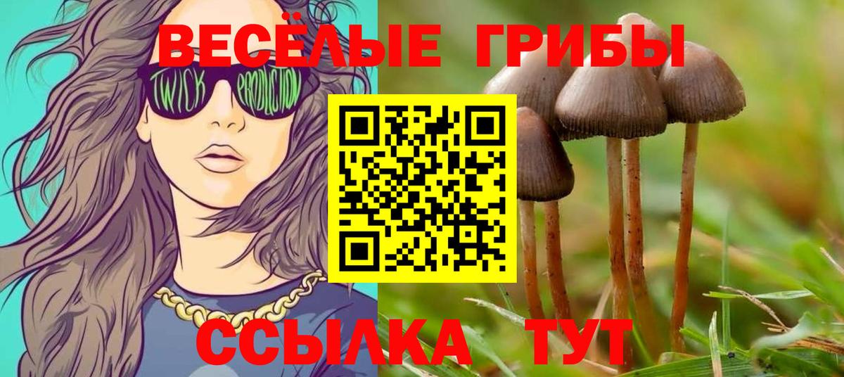 Псилоцибиновые грибы мухоморы Новотроицк